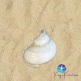 Bling Seashell Ornaments B-10 Turbo Craft Item