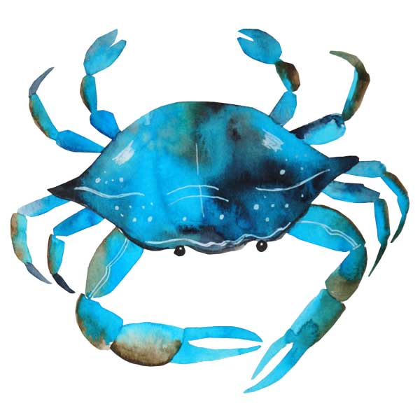 SDS - 210 Watercolor Crab