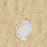 Glitter Shell Ornaments
