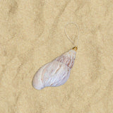 Glitter Shell Ornaments