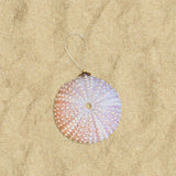 Glitter Shell Ornaments