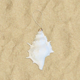 Glitter Shell Ornaments