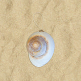 Glitter Shell Ornaments