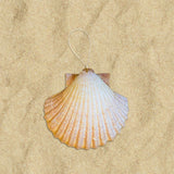 Glitter Shell Ornaments