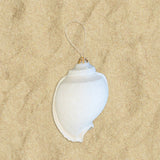 Glitter Shell Ornaments