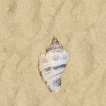 Glitter Shell Ornaments