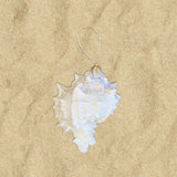 Glitter Shell Ornaments