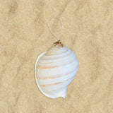 Glitter Shell Ornaments