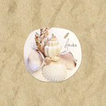 Shell Cluster Magnets