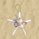 SFF-13 Shell Cluster Starfish Ornament