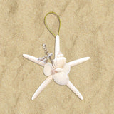 SFF-13 Shell Cluster Starfish Ornament