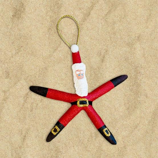 Starfish Santa