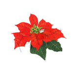 Large Sand Dollar Ornament